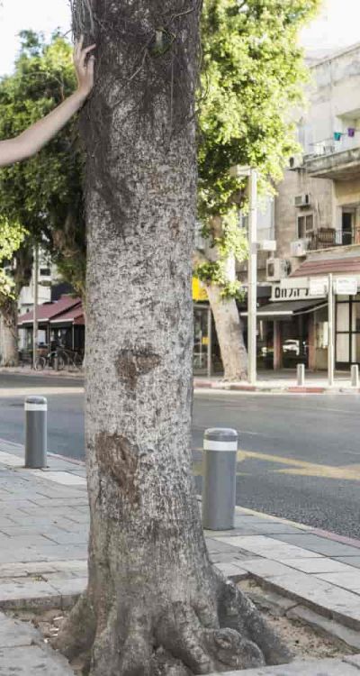 שמלות ערב בתל אביב דיזינגוף